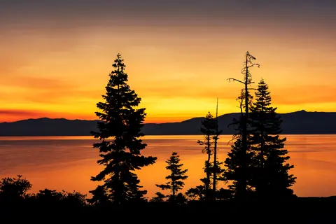 A sunset over a calm body of water with silhouetted trees in the foreground.
