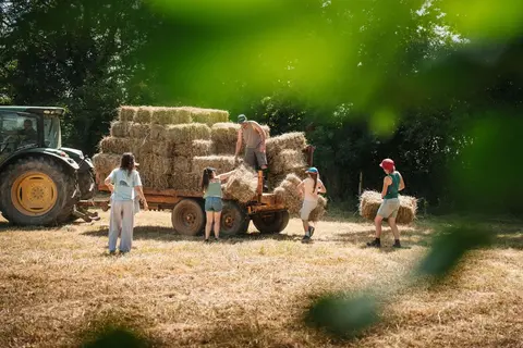 People load hay bales onto a trailer attached to a tractor in a field.