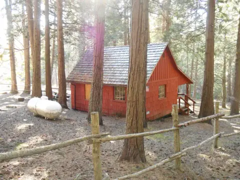 A red wooden cabin nestled among tall trees in a forest.