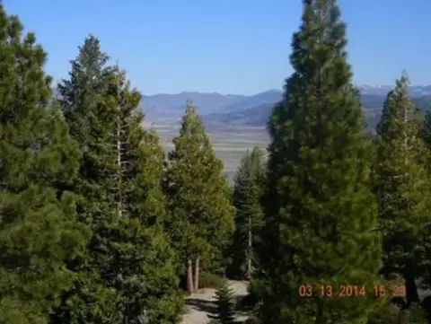 A landscape view overlooking trees and a distant valley.
