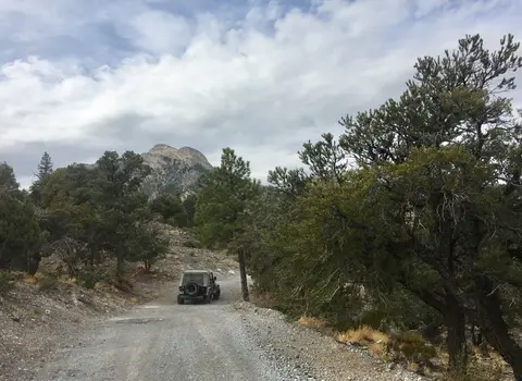 A Jeep drives up a gravel mountain road surrounded by trees.