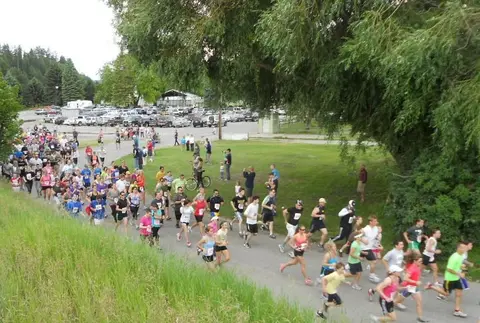 A large group of people participate in a road race.