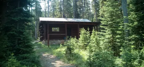 A log cabin nestled among pine trees in the forest.