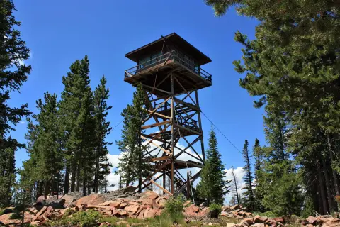 A tall wooden fire lookout tower stands among pine trees under a blue sky.