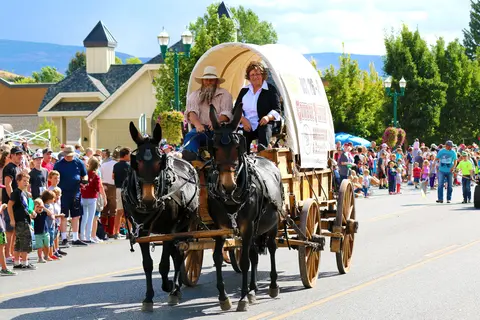 A covered wagon pulled by two mules drives down a street during a parade.