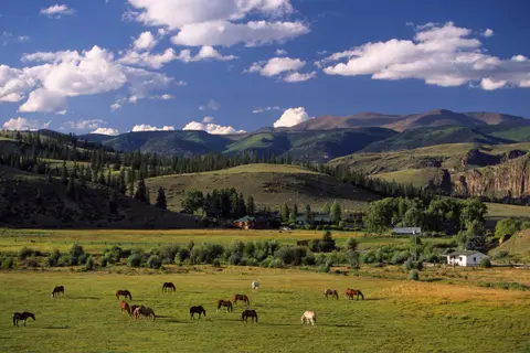A herd of horses grazes in a lush valley with mountains in the background under a partly cloudy sky.