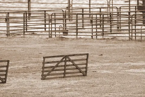 Livestock pens, Mendocino County Fair & Apple Show.