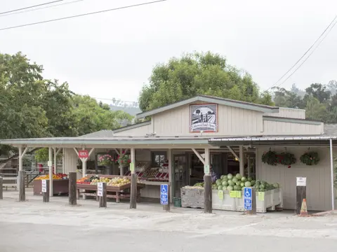 An outdoor farm stand with produce displays and a building in the background.