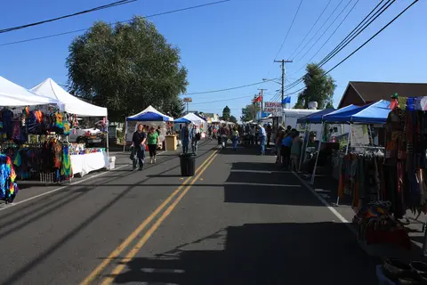 Street fair, Vashon Strawberry Festival.