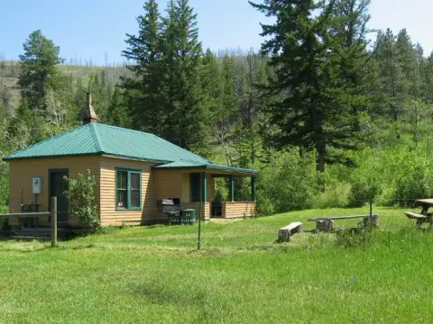 A small cabin with a green roof stands in a grassy clearing surrounded by trees.