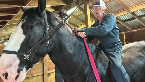 A person rides a black horse inside a stable.