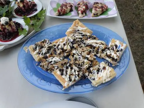 A blue platter holds square pastries topped with berries and icing.