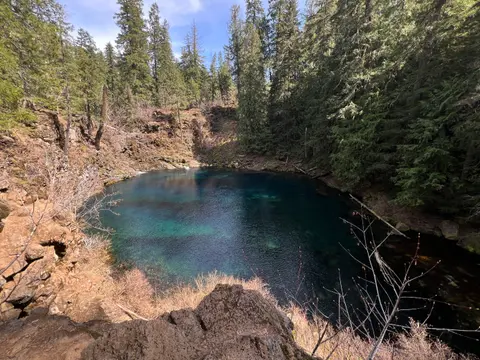 A clear blue pool nestled in a forested landscape.
