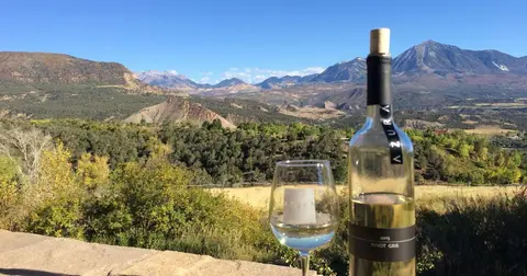A bottle of white wine and a glass sit on a stone surface overlooking a mountain landscape.