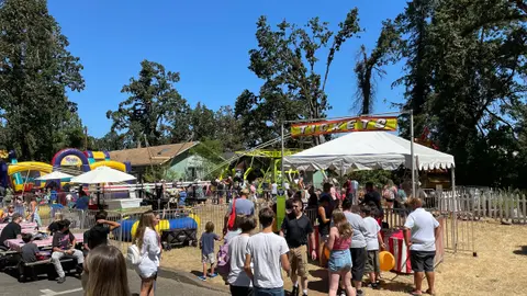 A crowd of people enjoying an outdoor fair with booths and attractions.