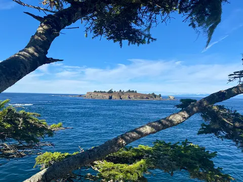 A view of the ocean and an island framed by tree branches.