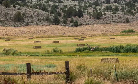 Hay field along Snake River-Mormon Basin Byway.