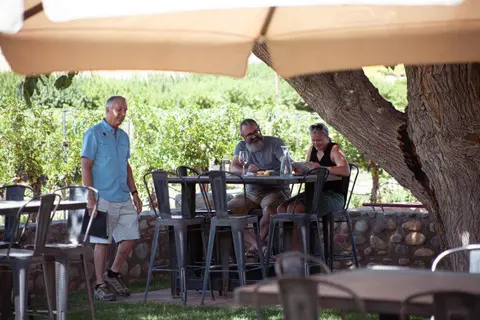 People sitting and standing outside under a large umbrella near a vineyard.