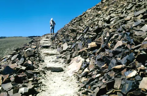 Hiker on trail, Ancient Bristlecone Pine Forest.
