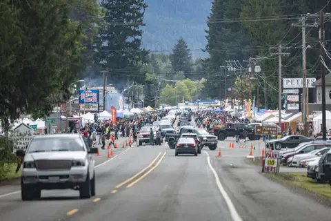 A crowded street fair lines a road flanked by trees and mountains.