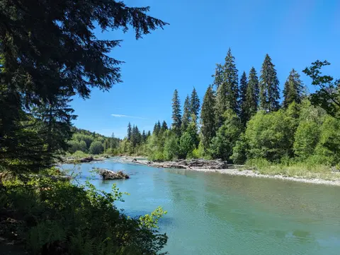 A river flows through a dense forest under a clear blue sky.
