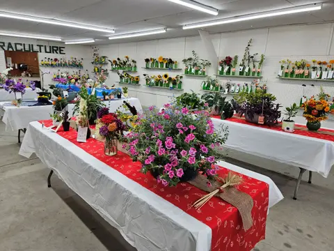 An exhibition room with tables displaying floral arrangements and plants.