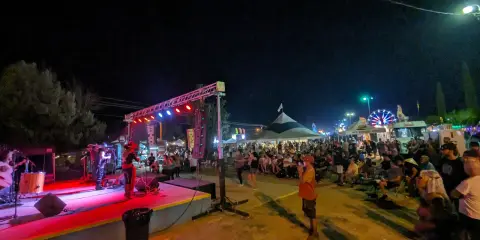 A crowd watches a band perform on an outdoor stage at night.