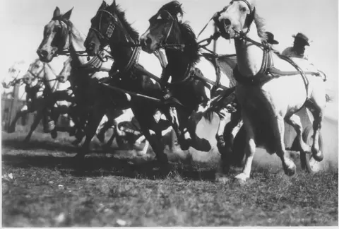 A historic black and white photograph showing a team of horses pulling a vehicle at speed.
