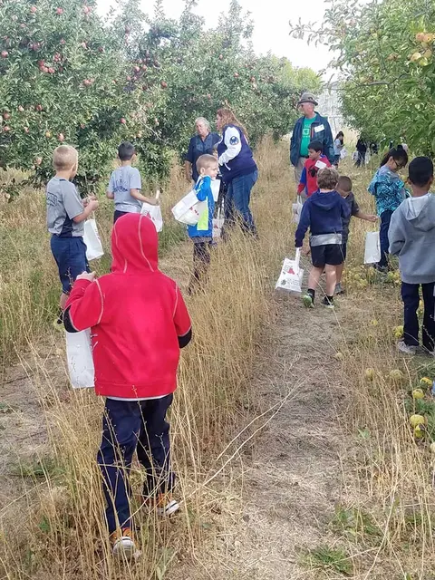 A group of children and adults walking through an apple orchard.