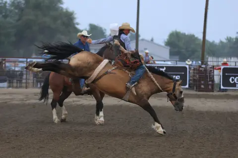 A cowboy rides a bucking horse at a rodeo.