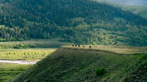 A line of people ride horses across a grassy plateau in a mountainous landscape.
