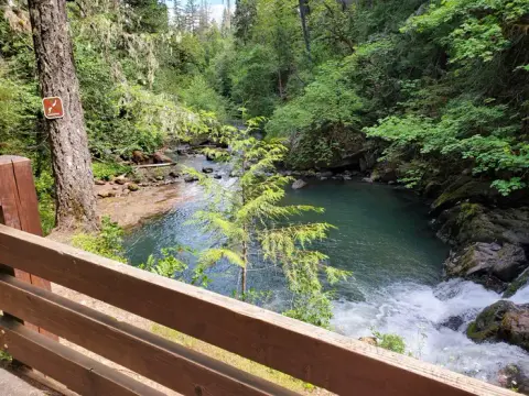 A scenic view of a river and forest from behind a wooden railing.