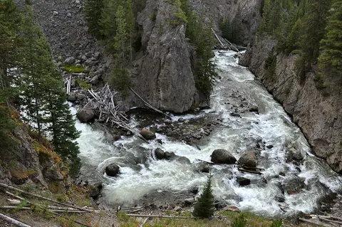 A rocky river flowing through a forested canyon.