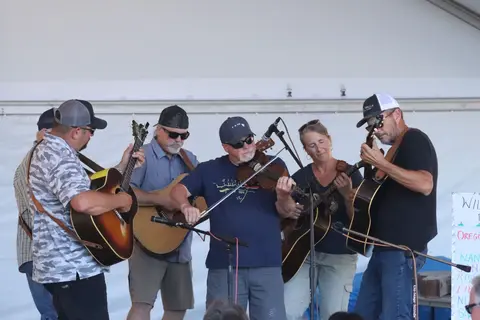 A band performs on stage with string instruments.