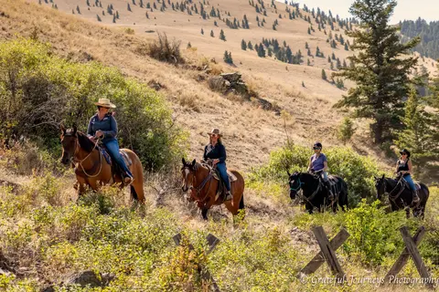Four people horseback riding through a grassy, hilly landscape.