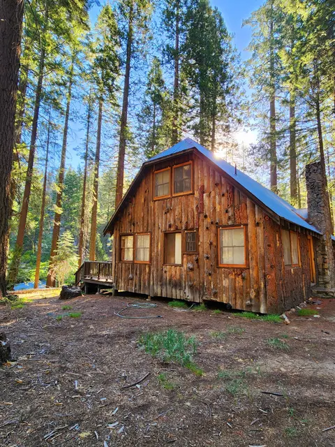 A rustic wooden cabin nestled among tall pine trees.