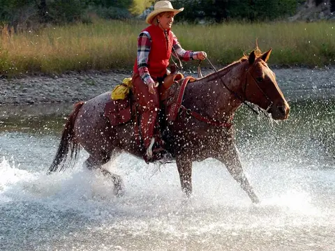 A woman rides a horse through a river, splashing water.