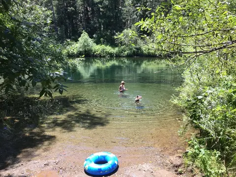 People swimming in a clear river surrounded by trees.