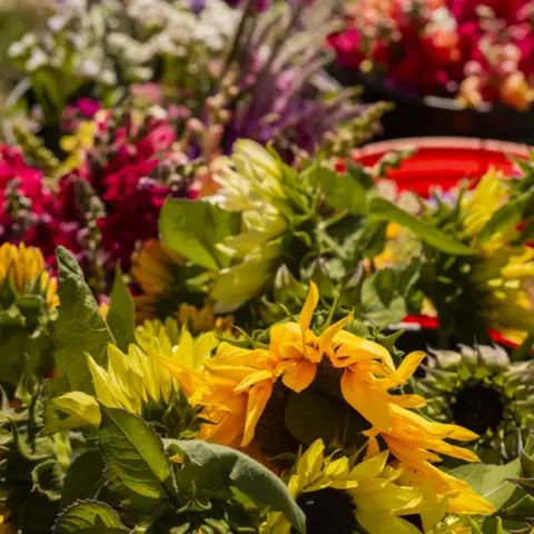 A close-up view of vibrant yellow sunflowers and other colorful flowers arranged together.