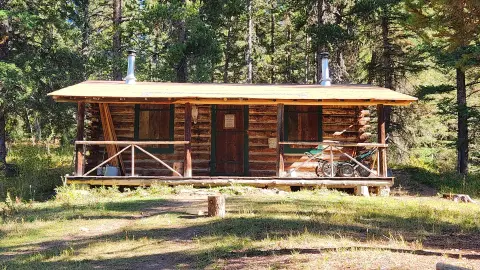 A log cabin stands in a wooded area with a porch and two chimneys.