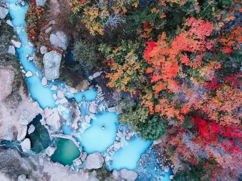 An aerial view of a vibrant blue river flowing alongside autumn trees.