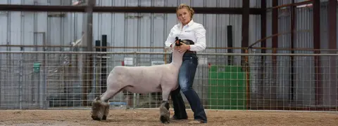 A young person poses with a show lamb inside a livestock barn.
