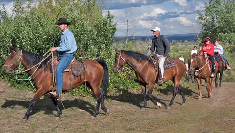 A group of people riding horses along a trail.