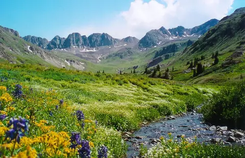 A mountain landscape showing a stream flowing through a valley filled with wildflowers.
