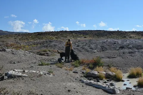 A person standing with dogs in a sparse landscape under a blue sky.