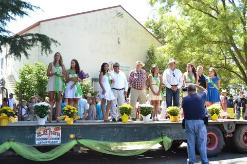 Royalty presentation on stage, Pear Fair.