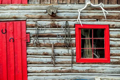 A rustic wooden wall with a red door, a red-framed window, and horse tack hanging between them.