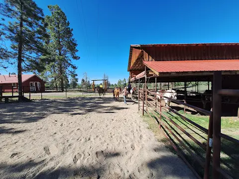 A sandy corral with horses and riders near barns and trees under a clear blue sky.