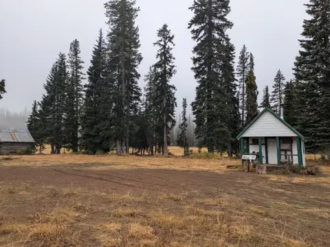 A small cabin sits in a clearing surrounded by tall evergreen trees.