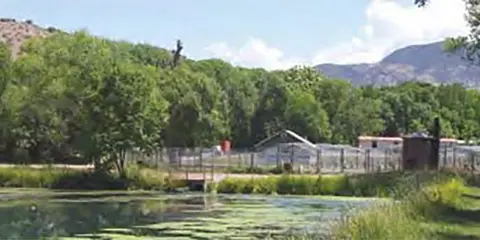 A pond with lily pads is surrounded by trees and mountains.